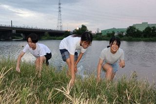 中学生３人が米倉港の清掃４年　岡山、地域住民もプロジェクトへ