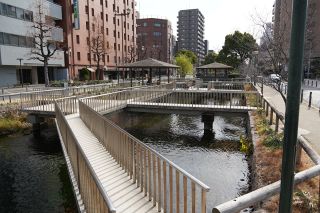 ロゴ作成やシンポ 記念事業展開　岡山市・西川緑道公園開園５０年　