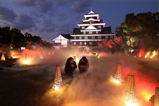 柔らかな光、幻想世界にいざなう　「幻想庭園」「烏城灯源郷」開幕