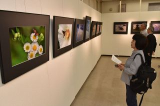 風景や生き物、感性豊かな写真３２点　福山で「光彩ふくきた」作品展
