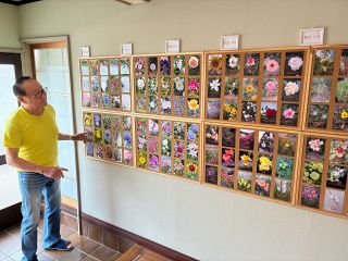 「季節感味わって」花の写真展示　倉敷の森長さん「風の道」で撮影