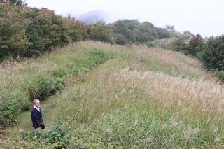 黄金の穂 秋の深まり　蒜山でススキが見頃