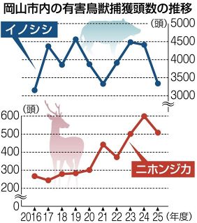 鳥獣捕獲減少も農作物被害拡大　岡山市、イノシシとシカ狩猟強化へ