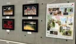 岡山県自然保護センター写真展入賞作品展