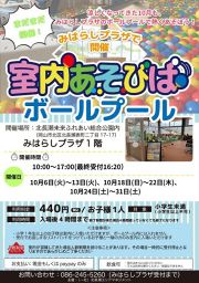 室内あそびば ボールプール