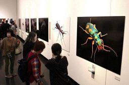 養老孟司と小檜山賢二の虫展
