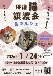 保護猫譲渡会＆マルシェ