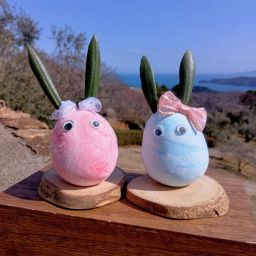 イースターエッグラビット作り体験