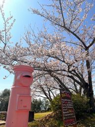 桜お花見散歩ポイントラリー