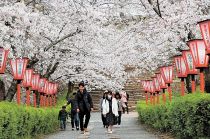 津山さくらまつり