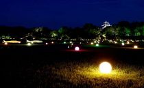 夏の幻想庭園