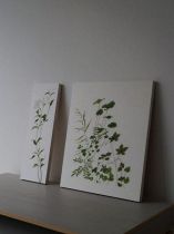涼月展