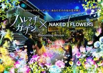 haremachi Blooming Winter 2021