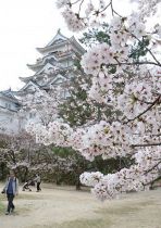 福山城桜まつり