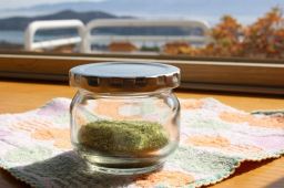 ハーブソルト作り体験