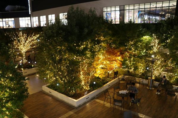 木々をきらびやかな光で演出したイオンモール岡山5階の屋上庭園
