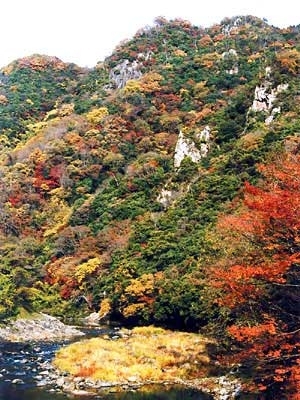 宇甘渓自然公園