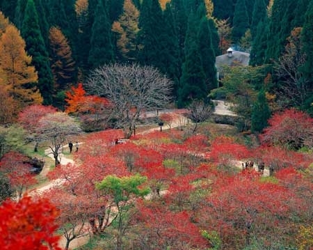 秋の県立森林公園。紅葉の名所としても知られる