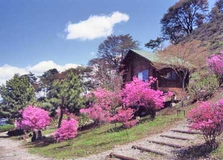 弥高山公園。春にはツツジが美しく咲き誇る