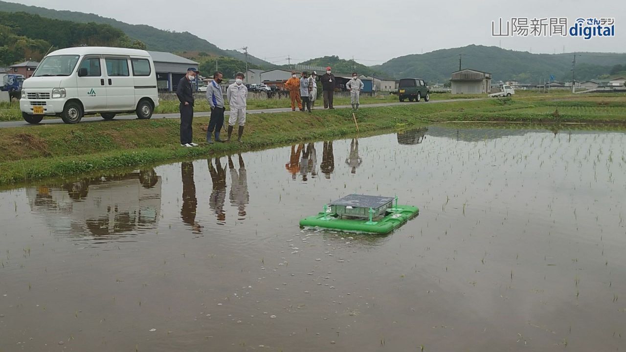 和気の水田で除草用ロボ実証実験　農家負担軽減へ東京のベンチャー