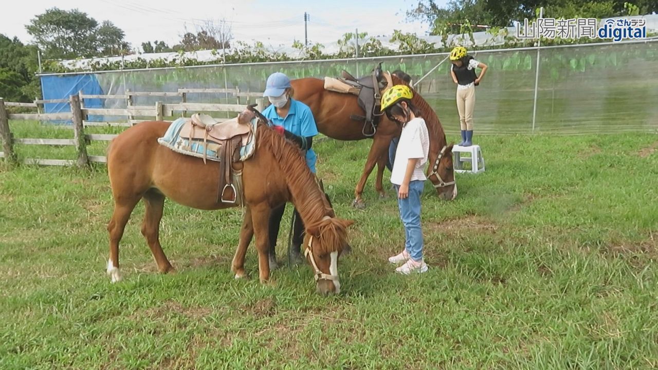 馬に揺られてブドウ狩りに行こう　勝央 乗馬クラブが体験プログラム