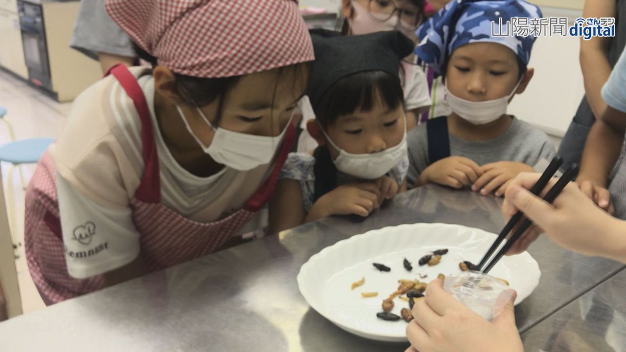 食料問題対策に昆虫食 味はどう？　倉敷で親子料理教室