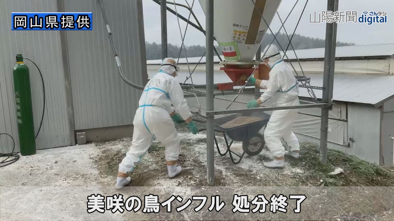 美咲の鳥インフル 処分を終了　岡山県、封じ込め措置本格化