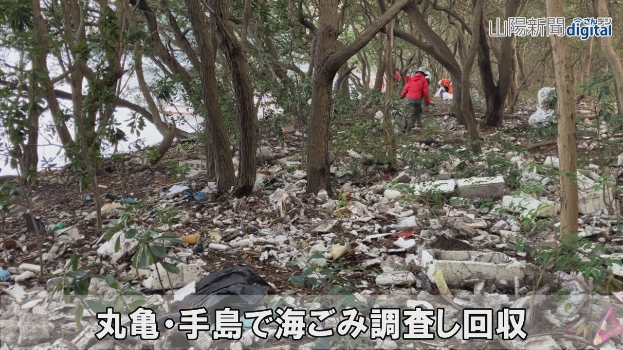 丸亀・手島で海ごみ調査し回収　愛媛の団体、継続の必要性確認