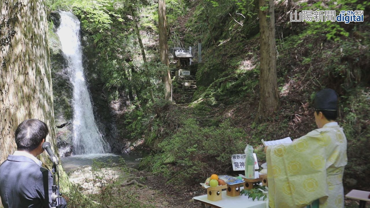 新緑の中流れる清水 観光客癒やす　“津山の奥座敷” 横野滝で滝開き