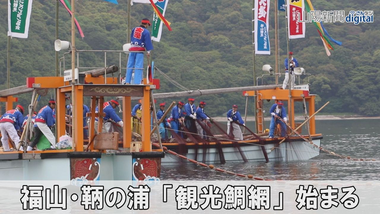 伝統漁法再現「観光鯛網」始まる　福山・鞆の浦、初夏の風物詩